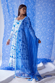 Nirad anarkali set of 3 - Baise Gaba