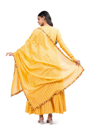 LIORA ANARKALI SET OF 3