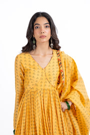 LIORA ANARKALI SET OF 3