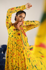 Smiti Anarkali kurta °