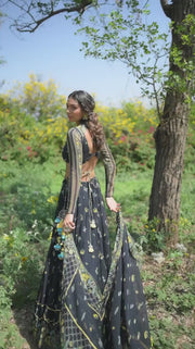 Cosmos Lehenga Set Of 3 °