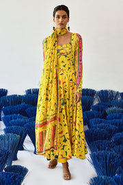 Aita Anarkali Kurta °