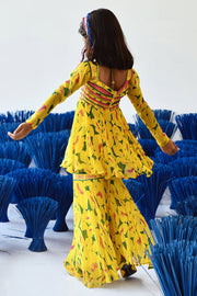 Aneri Gharara Set Of 2 °