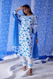 Megh Straight Suit Set Of 3 - Baise Gaba