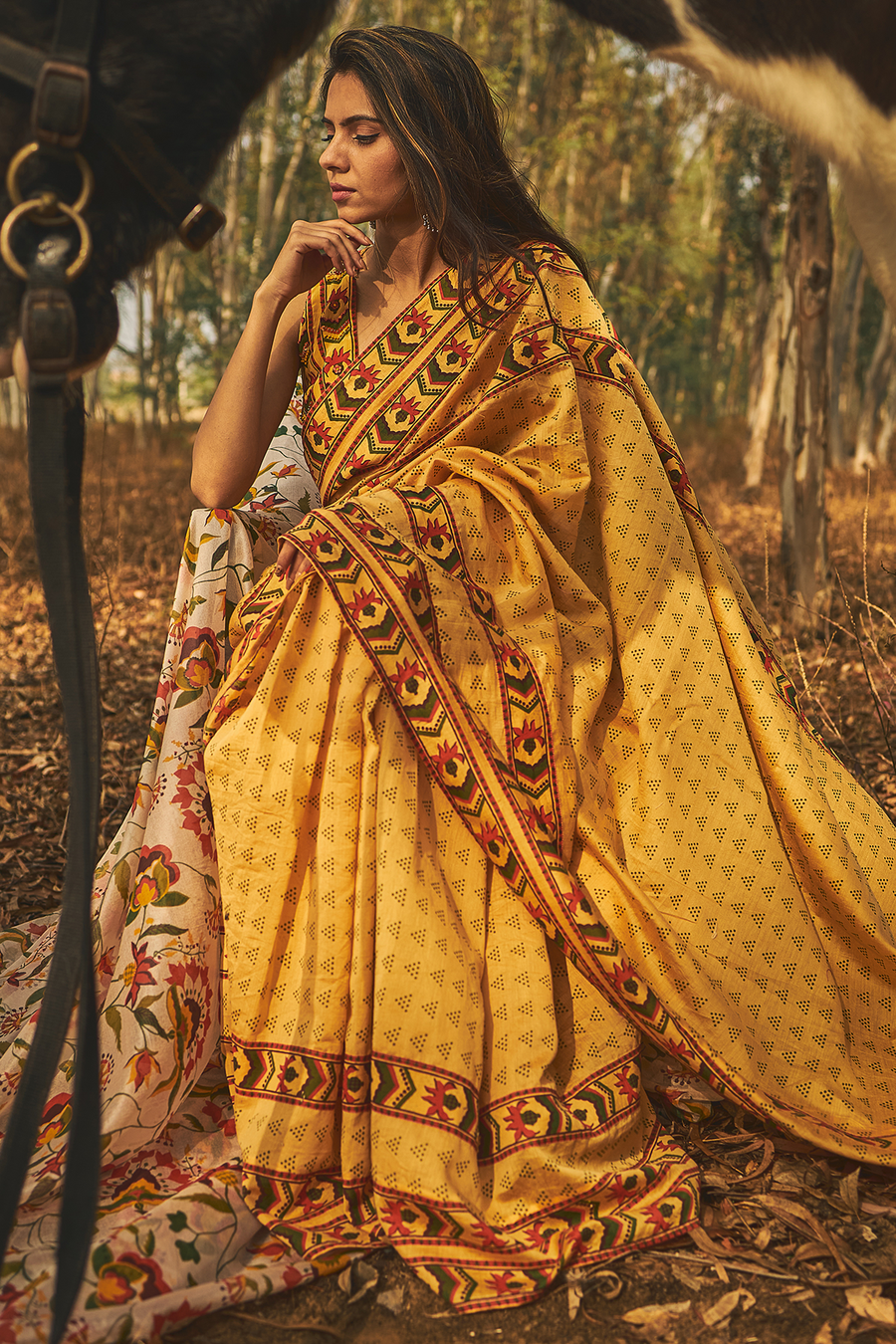 Mehtab Chanderi Saree Set Of 2 - Baise Gaba